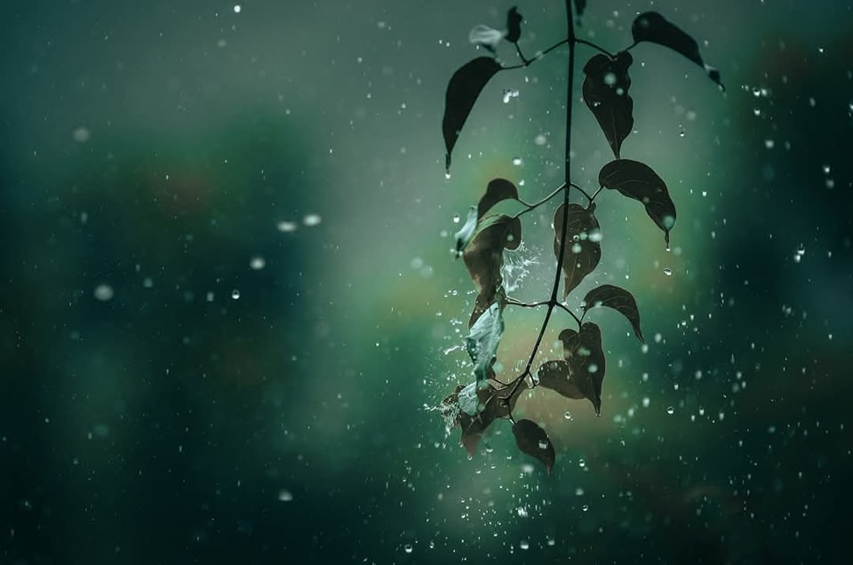 Khoa học Công nghệ