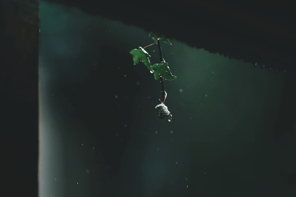 Khoa học Công nghệ